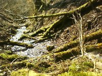 plynie do czystej Soliny   płynie do czystej Soliny